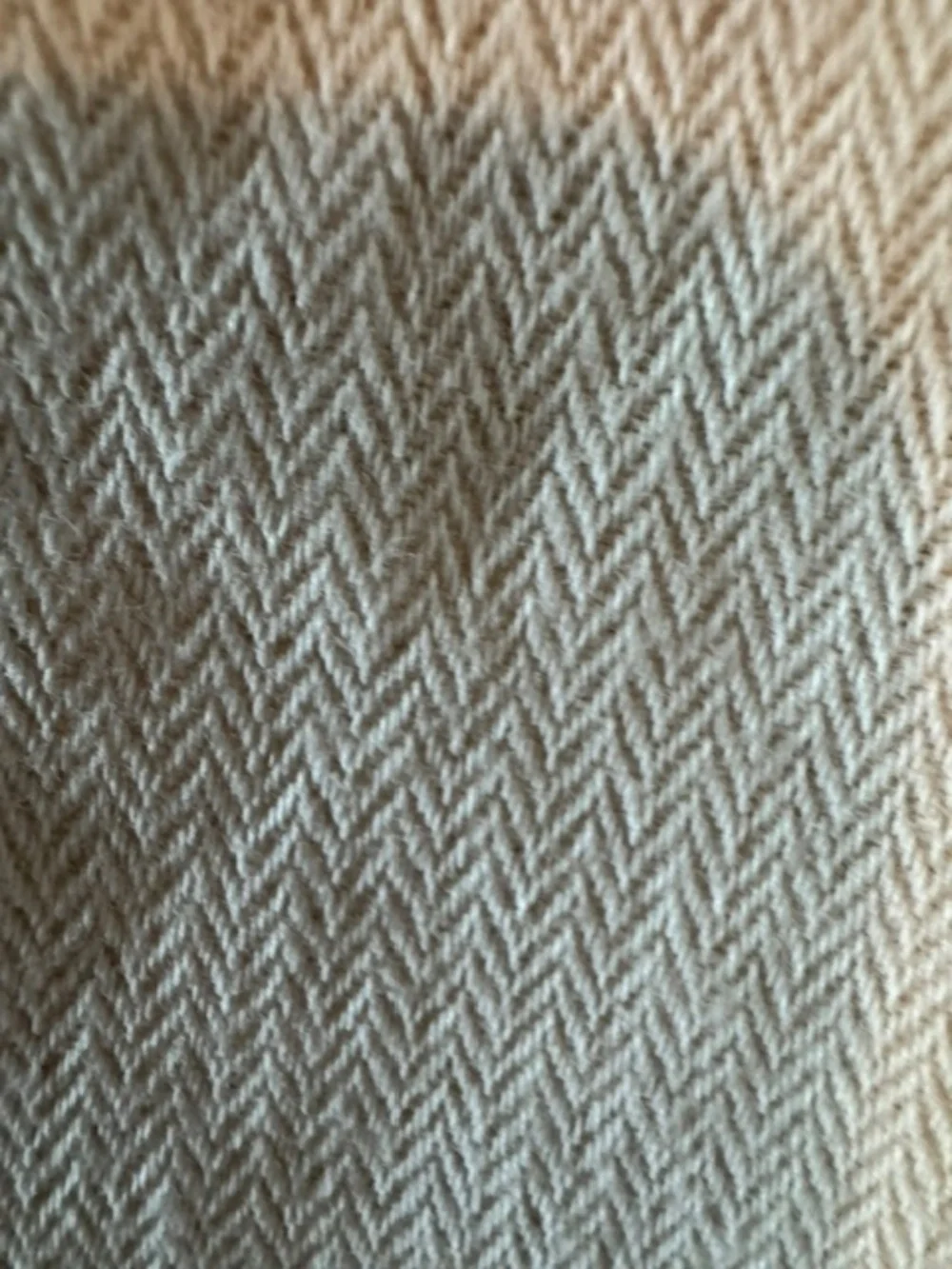 Liz Clayborne egg shell color pants size 38  herringbone